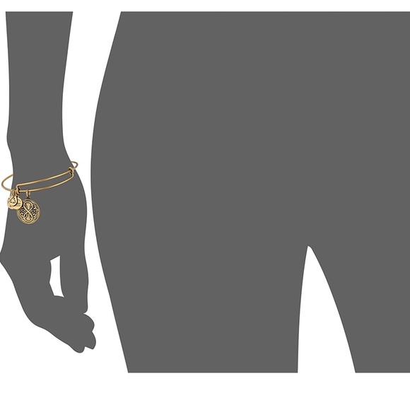 Alex and Ani Bangle Bar "Path of Life" Rafaelian Gold-Tone Expandable Bracelet - Picture 10 of 11